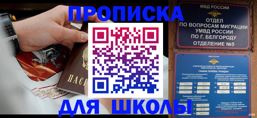 пропишу в квартире в Лысково